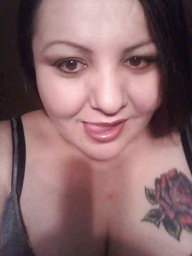 mainazoektvriebndschap aus Noord-Holland,Niederlande